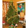 �rbol de Navidad de Maria Auxiliadora Delgado (Barquisimeto, Venezuela)