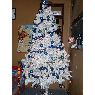 Frankito Duarte's Christmas tree from Santiago, Chile