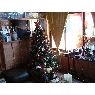 Isabel Moreno's Christmas tree from Valdivia , Chile