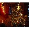 �rbol de Navidad de Duchene Jean-Luc (Belgique)