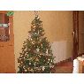 Sapin de Noël de Alberto Ramos Perez (Madrid, España)