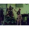 Gerardo Escobar's Christmas tree from Estados Unidos