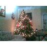 �rbol de Navidad de Familia Avila (Mexico)