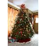 �rbol de Navidad de Heidi Lilla (Stevens Point, WI, USA)