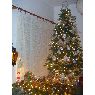 Patricia Haro de Palafox's Christmas tree from M�xico DF, M�xico