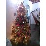 Weihnachtsbaum von Luz Elena Pirela Mej�as (Onoto, Anzo�tegui, Venezuela)