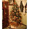 �rbol de Navidad de Rosario Salvatierra (Monterrey, Mexico)