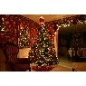�rbol de Navidad de Linda MacDonald (Dartmouth, Nova Scotia, Canada)