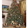 �rbol de Navidad de Ximena Vega (Quito, Ecuador)