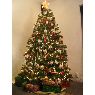 �rbol de Navidad de Damian Zuniga (Montreal, Canada)