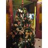 Weihnachtsbaum von Mari Luz (Guipuzcoa, Espa�a)