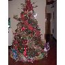 Weihnachtsbaum von Madeylen Sanchez (Lara, Venezuela)