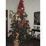 Weihnachtsbaum von Leyda Castillo (Maracaibo, Venezuela)