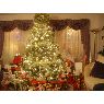 �rbol de Navidad de Kennedy Family (Roosevelt, New York, USA)