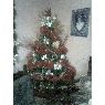 Familia Gonzales Angulo's Christmas tree from Maraca�bo, Venezuela