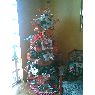 Familia Gonz�lez Matheus's Christmas tree from Maracaibo, Venezuela