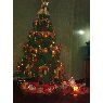 Árbol de Navidad de Sonia Galvan (Lima, Peru)