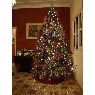 �rbol de Navidad de Familia M�ndez Urp�n (Caracas, Venezuela)