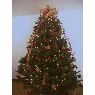 Árbol de Navidad de Maria de Lourdes Garrido de Anda (México DF, México)