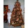 Árbol de Navidad de Gicella Pino (Caracas, Venezuela)