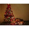 �rbol de Navidad de Mariana (Alejandro Roca, Cordoba, Argentina)