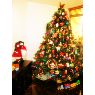 Maria Fernanda Guevara's Christmas tree from Caracas, Venezuela
