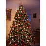 �rbol de Navidad de Margaret Mika (MP, IL, USA)