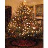 Sapin de Noël de Linda (Long Island, NY, USA)
