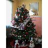 �rbol de Navidad de Adriana Mora Roberts (Carolina del Norte, USA)