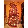 �rbol de Navidad de Enmanuel Jim�nez Cruz (Santo Domingo, Rep�blica Dominicana)