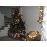 Carmen Hern�ndez's Christmas tree from T�chira, Venezuela