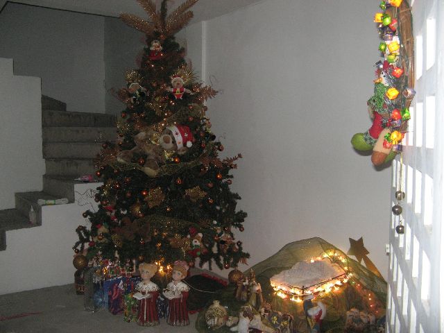 Carmen Hern�ndez (T�chira, Venezuela)