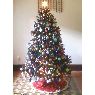 Sapin de Noël de Lucia V. Hernandez (Medellin, Colombia)