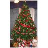 �rbol de Navidad de Nataly Espinoza Olgu�n (Valpara�so, Chile)