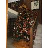 �rbol de Navidad de Zabeliz (Puebla, Mexico)