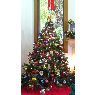 Weihnachtsbaum von Susana Laucirica (Argentina)