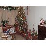 Weihnachtsbaum von Adela de Hernandez (Maracay, Edo.Aragua, Venezuela)