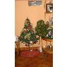 Jessica Monica Jesus Balbin's Christmas tree from Lima , Peru