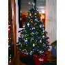�rbol de Navidad de Belen (Logro�o, Espa�a)
