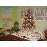 �rbol de Navidad de Gustavo Rodriguez (Bogot�, Colombia)
