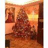 �rbol de Navidad de Nila Perez (Maracaibo, Venezuela)