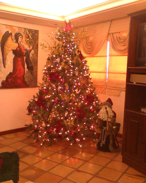 Nila Perez (Maracaibo, Venezuela)