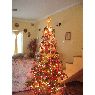 Malena Gricel Mesisca's Christmas tree from Buenos Aires, Argentina