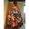 �rbol de Navidad de Caroll Villalobos (Maracaibo, Venezuela)