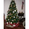 Árbol de Navidad de Cecilia Galindo Acosta (Bogota, Colombia)