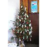 Weihnachtsbaum von R_plachetka (Hamburg)