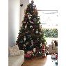 Weihnachtsbaum von Fabiola Latorre Galindo (Bogot�, Colombia)