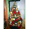 Weihnachtsbaum von Carlos (Logro�o)
