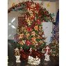 Weihnachtsbaum von Familia Medina Rodr�guez (San Felix, Bolivar, Venezuela)
