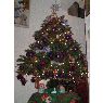 Meritt Yajaira Uribe Aquino's Christmas tree from Guanajuato, México